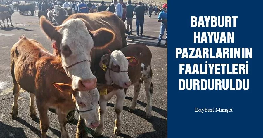 Bayburt Hayvan Pazarlarının Faaliyetleri Durduruldu