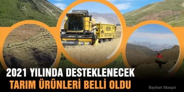 Bayburt'ta 2021 Yılında Desteklenecek Tarım Ürünleri Belli Oldu