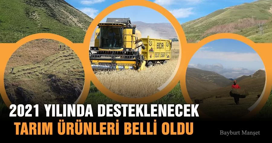 Bayburt'ta 2021 Yılında Desteklenecek Tarım Ürünleri Belli Oldu