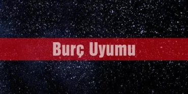Burç Uyumu