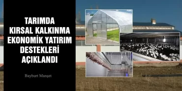 Tarımda Kırsal Kalkınma Ekonomik Yatırım Destekleri Açıklandı