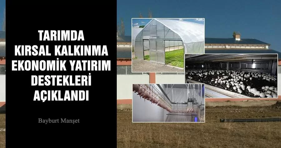 Tarımda Kırsal Kalkınma Ekonomik Yatırım Destekleri Açıklandı