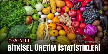 TÜİK 2020 Yılı Bitkisel Üretim İstatistiklerini Açıkladı