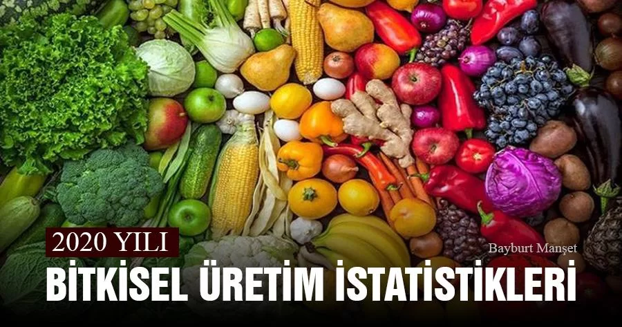 TÜİK 2020 Yılı Bitkisel Üretim İstatistiklerini Açıkladı