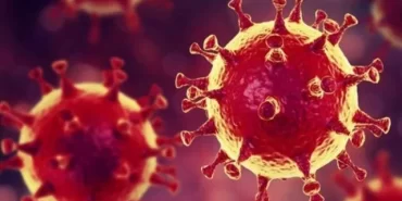 Almanya’da salgının bulaştığı kişi sayısı 2 milyonu aştı