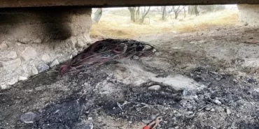 Kütahya’da kablo hırsızı foto kapan sayesinde yakalandı