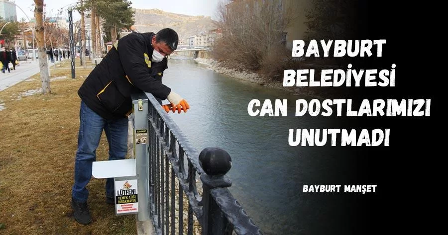 Bayburt Belediyesi Can Dostlarımızı Unutmadı