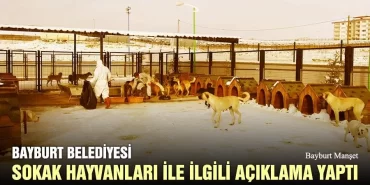 Bayburt Belediyesi Sokak Hayvanları İle İlgili Açıklama Yaptı