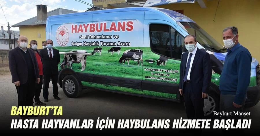 Bayburt’ta Hasta Hayvanlar İçin Haybulans Hizmete Başladı