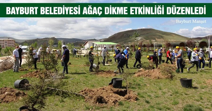 Bayburt Belediyesi Ağaç Dikme Etkinliği Düzenledi