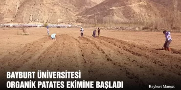 Bayburt Üniversitesi Organik Patates Ekimine Başladı