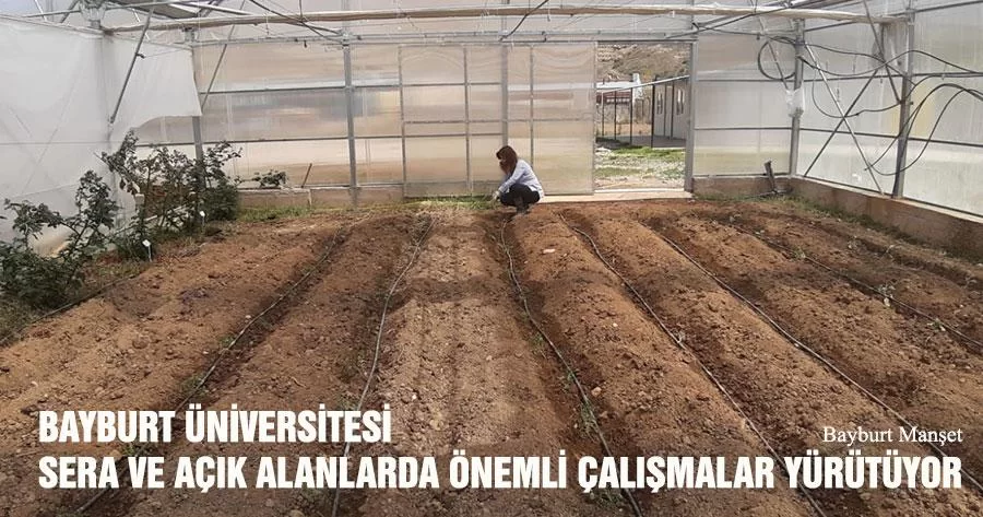 Bayburt Üniversitesi Sera Ve Açık Alanlarda Önemli Çalışmalar Yürütüyor