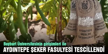 Bayburt Üniversitesinin Girişimleri İle Aydıntepe Şeker Fasulyesi Tescillendi