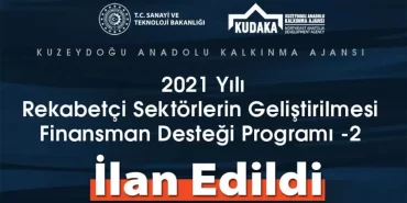 2021 Yılı Rekabetçi Sektörlerin Geliştirilmesi Finansman Desteği Programı - 2 İlanı