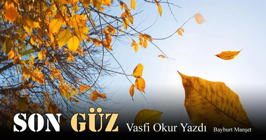 Son Güz - Vasfi Okur Yazdı