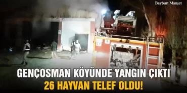 Gençosman Köyünde Yangın Çıktı 26 Hayvan Telef Oldu!