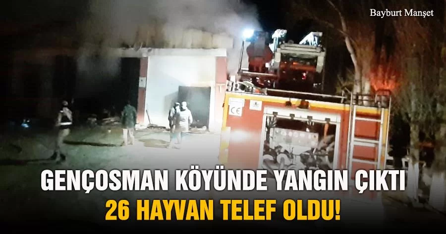 Gençosman Köyünde Yangın Çıktı 26 Hayvan Telef Oldu!