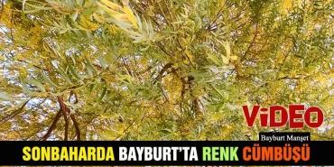 Sonbaharda Bayburt’ta Renk Cümbüşü