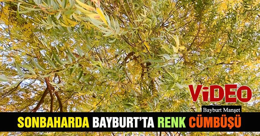 Sonbaharda Bayburt’ta Renk Cümbüşü