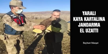 Yaralı Kaya Kartalına Jandarma El Uzattı
