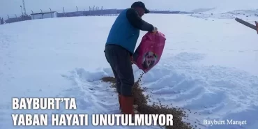 Bayburt’ta Yaban Hayatı Unutulmuyor