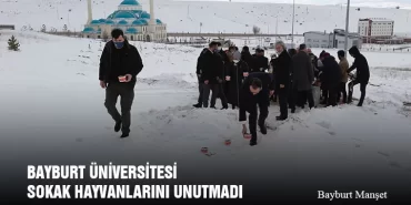 Bayburt Üniversitesi Sokak Hayvanlarını Unutmadı