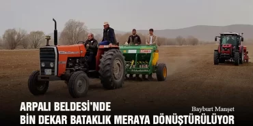 Arpalı Beldesi’nde Bin Dekar Bataklık Meraya Dönüştürülüyor