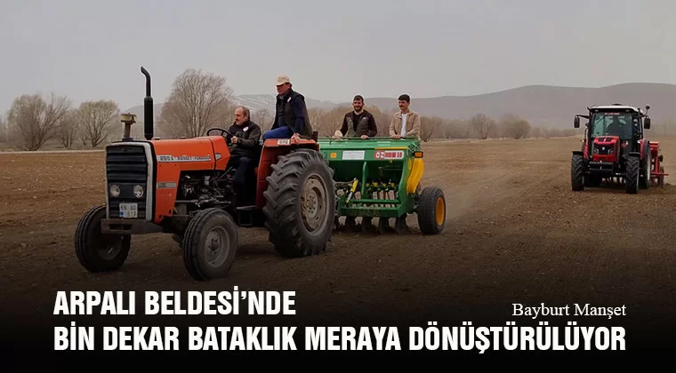 Arpalı Beldesi’nde Bin Dekar Bataklık Meraya Dönüştürülüyor