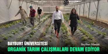 Bayburt Üniversitesi Organik Tarım Çalışmaları Devam Ediyor