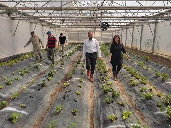 Bayburt Üniversitesi Organik Tarım Çalışmaları Devam Ediyor