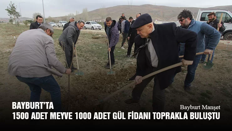 Bayburt’ta 1500 Adet Meyve 1000 Adet Gül Fidanı Toprakla Buluştu