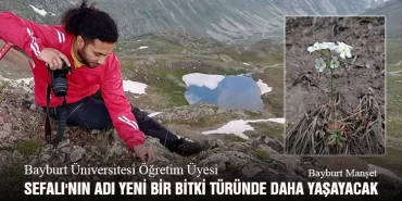 Bayburt Üniversitesi Öğretim Üyesi Sefalı'nın Adı Yeni Bir Bitki Türünde Daha Yaşayacak