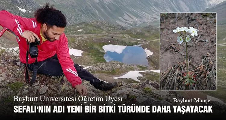 Bayburt Üniversitesi Öğretim Üyesi Sefalı'nın Adı Yeni Bir Bitki Türünde Daha Yaşayacak