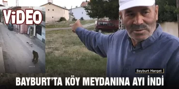 Bayburt’ta Köy Meydanına Ayı İndi