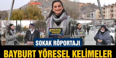 Bayburt Yöresel Kelimeler, Sokak Röportajları