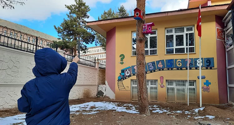 Anaokulu Öğrencileri Kuş Evleri Tasarladı