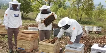 Büyükşehir'den arıcılara 55 ton arı yemi