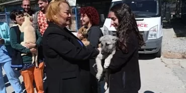 Dünya Veteriner Hekimler Günü dolayısıyla Bodrum Belediyesi Veteriner İşleri Müdürlüğü tarafından kahvaltı organizasyonu gerçekleştirildi