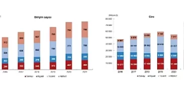 TÜİK: Yurt Dışında Kontrol Edilen Girişim İstatistikleri, 2021