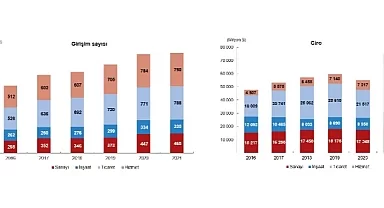 TÜİK: Yurt Dışında Kontrol Edilen Girişim İstatistikleri, 2021