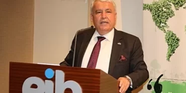 Zeytincilik sektörü ihracatta 1 milyar dolara koşuyor