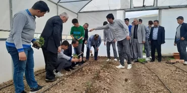 Mesleki ve Teknik Anadolu Lisesi Serası üretime başlıyor