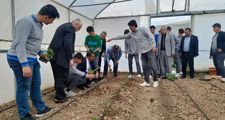 Mesleki ve Teknik Anadolu Lisesi Serası üretime başlıyor