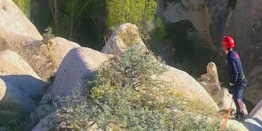 Nevşehir’de Kayalıklarda Mahsur Kalan Köpeği İtfaiye Ekipleri Kurtardı