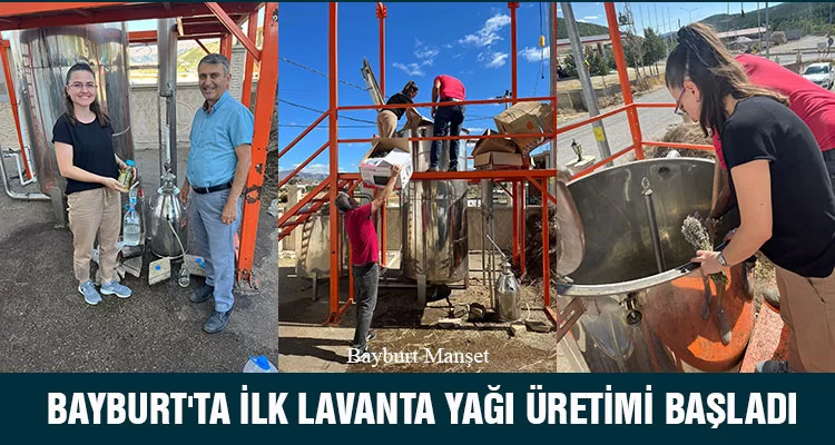 Bayburt'ta İlk Lavanta Yağı Üretimi Başladı