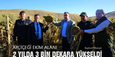Ayçiçeği Ekim Alanı 2 Yılda 3 Bin Dekara Yükseldi