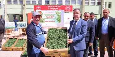Bayburt'ta Üreticilere Sebze Fidesi Desteği