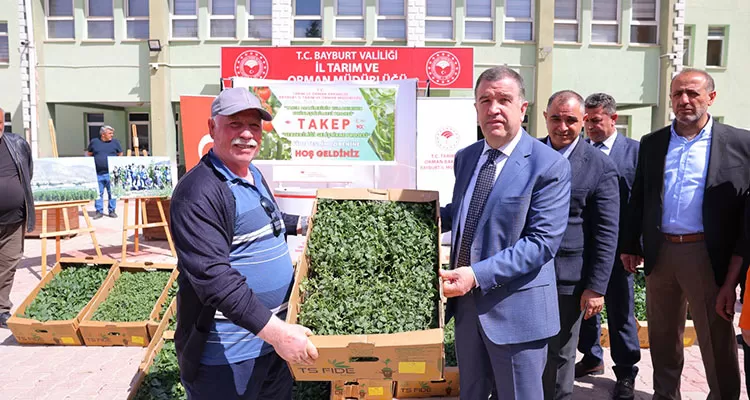 Bayburt'ta Üreticilere Sebze Fidesi Desteği