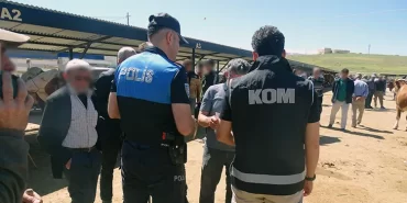 Kurban Bayramı Öncesi Canlı Hayvan Pazarında Dolandırıcılık ve Hırsızlığa Dikkat!