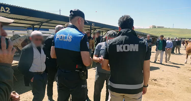 Kurban Bayramı Öncesi Canlı Hayvan Pazarında Dolandırıcılık ve Hırsızlığa Dikkat!